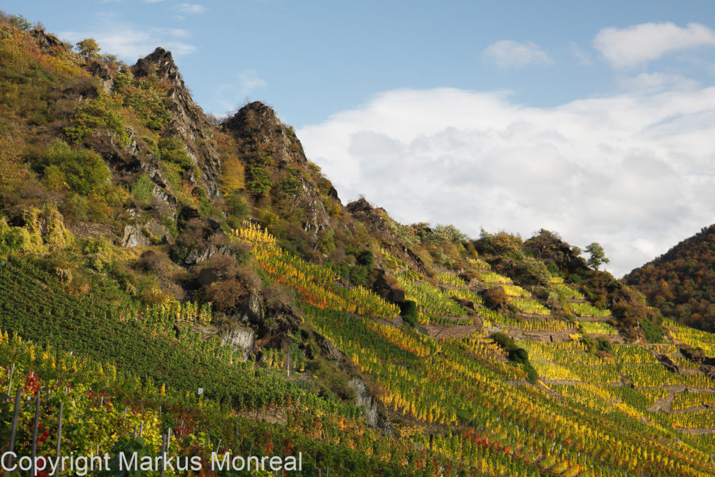 Mayschoss, Laach, Herbst in den Weinbergen