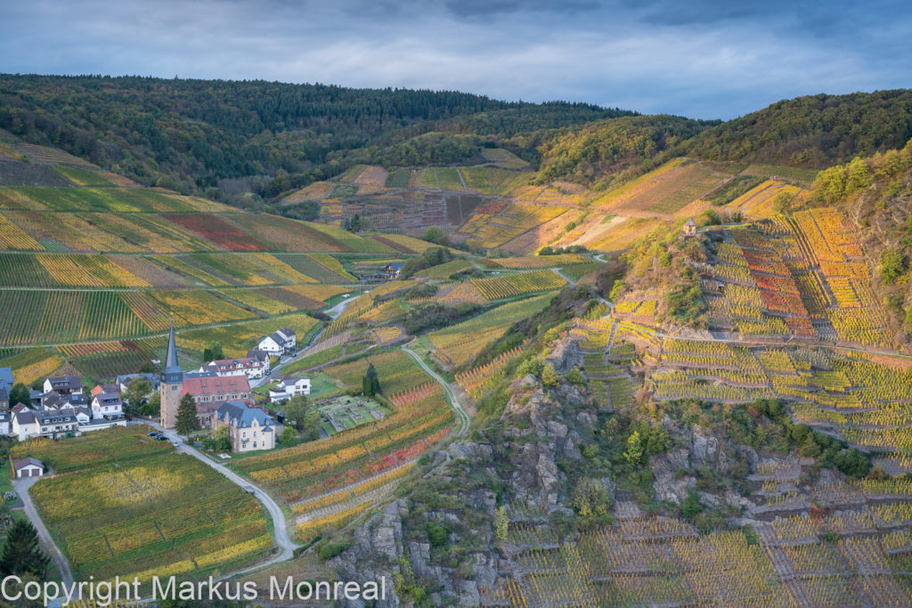 Weinberge im Herbst im Ahrtal bei Mayschoss.